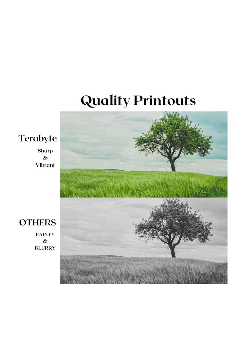 Terabyte XE3215/3225  COMPATIBLE TONER - Image 2