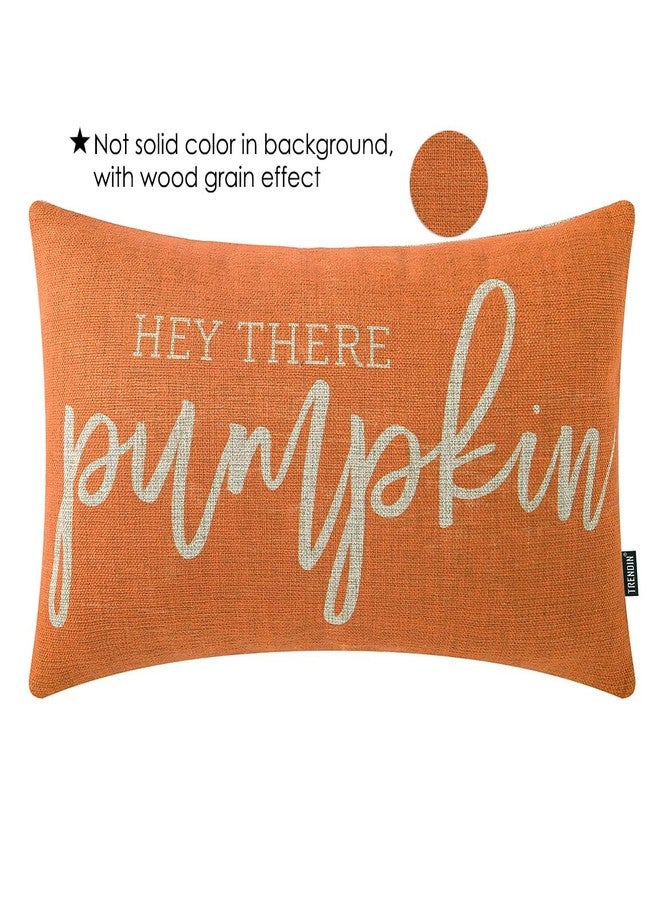 TRENDIN Fall Pumpkin Pillow Cover 12x20 inches Word Hey There Pumpkin Linen Lumbar Decorative Pillow Cover for Sofa Couch Orange PL934TR - Image 2