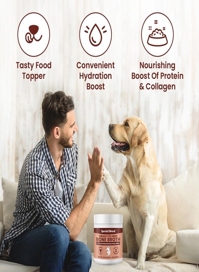 Special Breed 19oz Bone Broth Powder for Dogs and Cats - 192 Scoops - Dog and Cat Food Topper, Grass Fed Beef Broth Supplement - Image 3