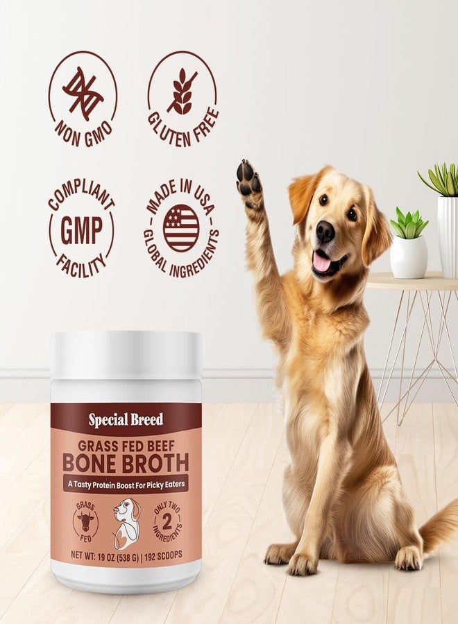 Special Breed 19oz Bone Broth Powder for Dogs and Cats - 192 Scoops - Dog and Cat Food Topper, Grass Fed Beef Broth Supplement - Image 4
