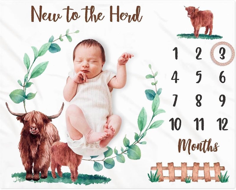 Gicoherero Highland Cows Baby Monthly Milestone Blanket Scotland Photo Prop Month Blanket Growth Chart Gift Ideas for Newborn Boy Girl Nursery Dcor Baby Shower 40 X 50 - Image 1