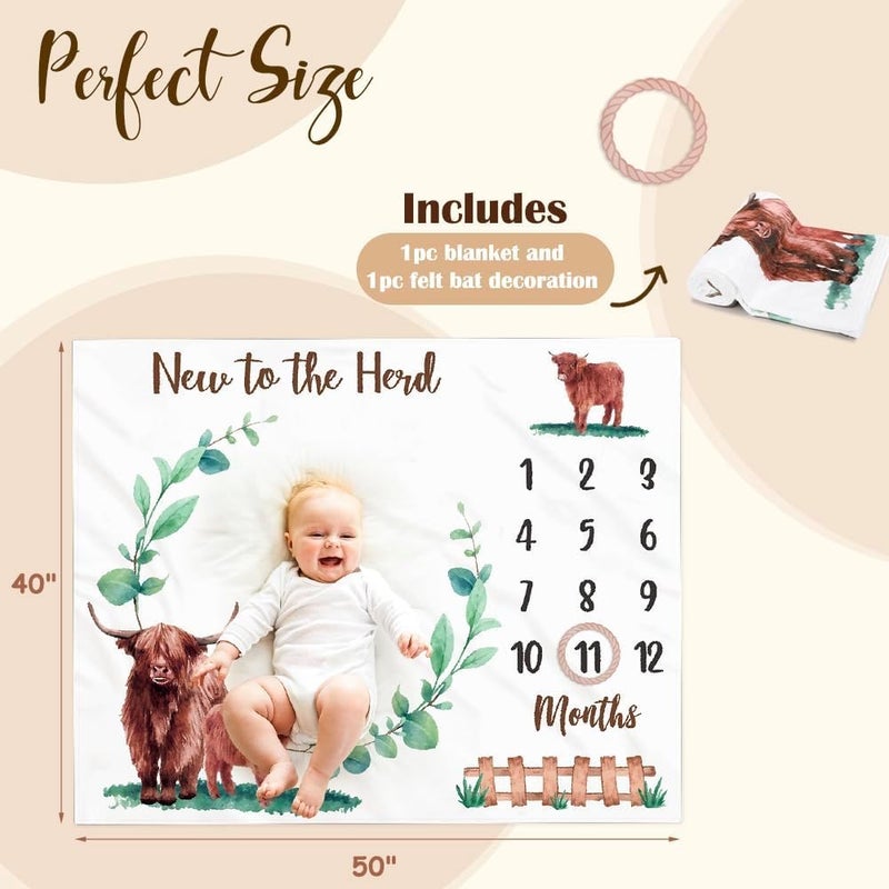 Gicoherero Highland Cows Baby Monthly Milestone Blanket Scotland Photo Prop Month Blanket Growth Chart Gift Ideas for Newborn Boy Girl Nursery Dcor Baby Shower 40 X 50 - Image 2