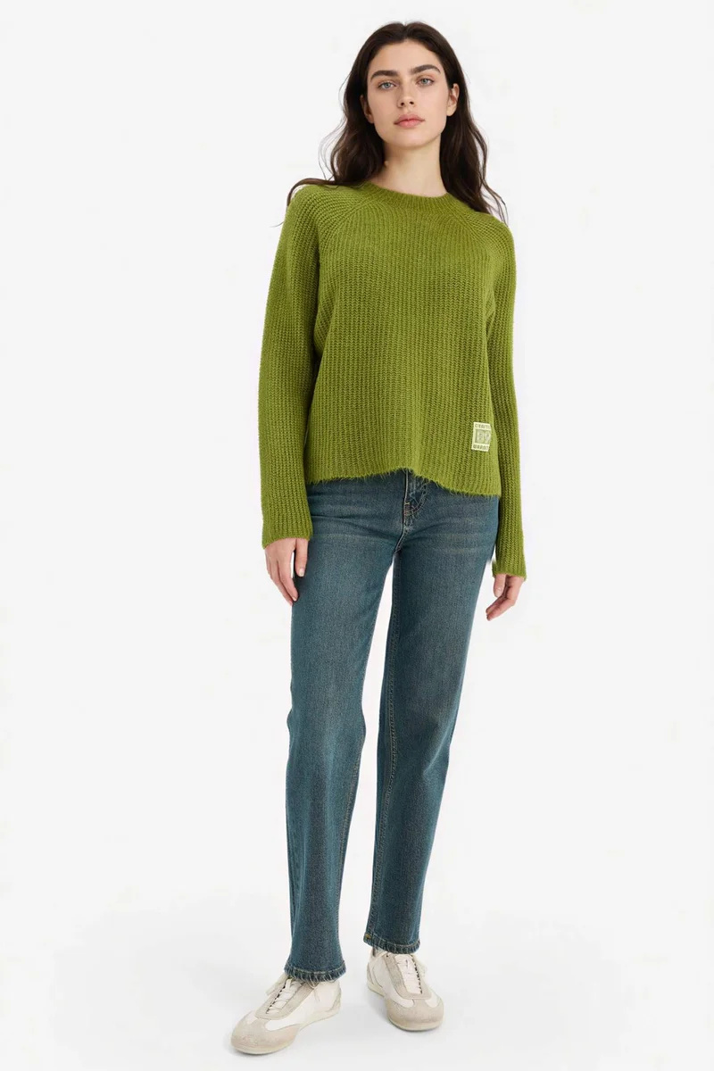 DeFacto Regular Fit Crew Neck Pullover