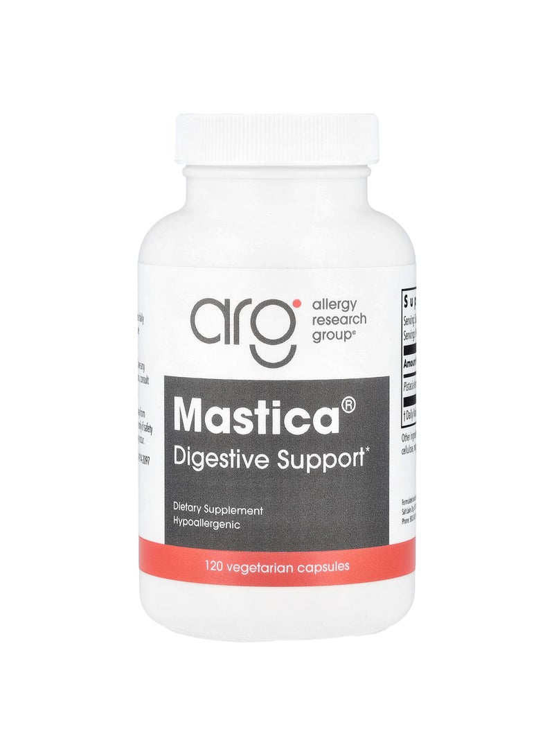 Mastica®, Digestive Support, 120 Vegetarian Capsules (0.5 g per Capsule)