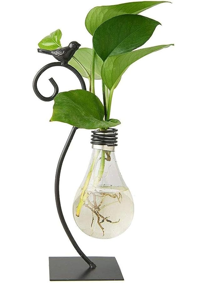 The Bros Desktop Glass Planter Hydroponics Vase,Planter Bulb Vase with Holder for Home Decoration,Modern Creative Bird Plant Terrarium Stand, Scindapsus Container - Image 1