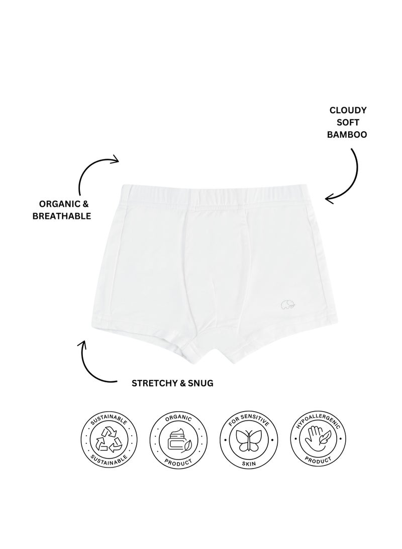 Anvi Baby Organic Bamboo Boxer Brief Underwear Set Of 3- White/White/White  - Image 3