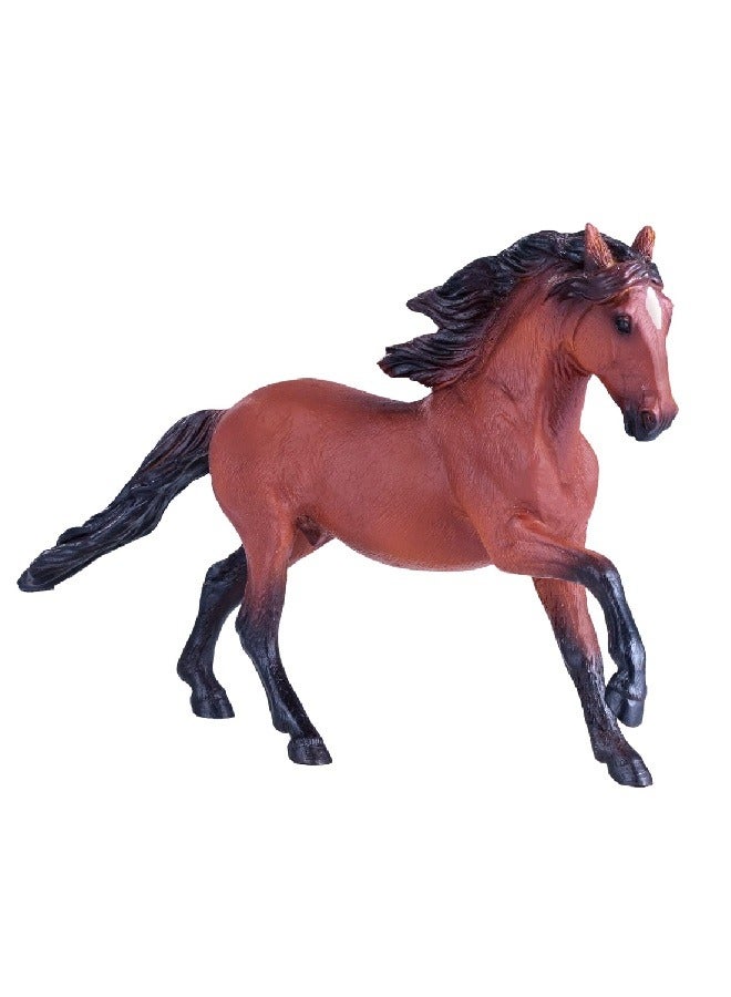 Mojo Animal Planet Animal Planet Mojo Lusitano Bay