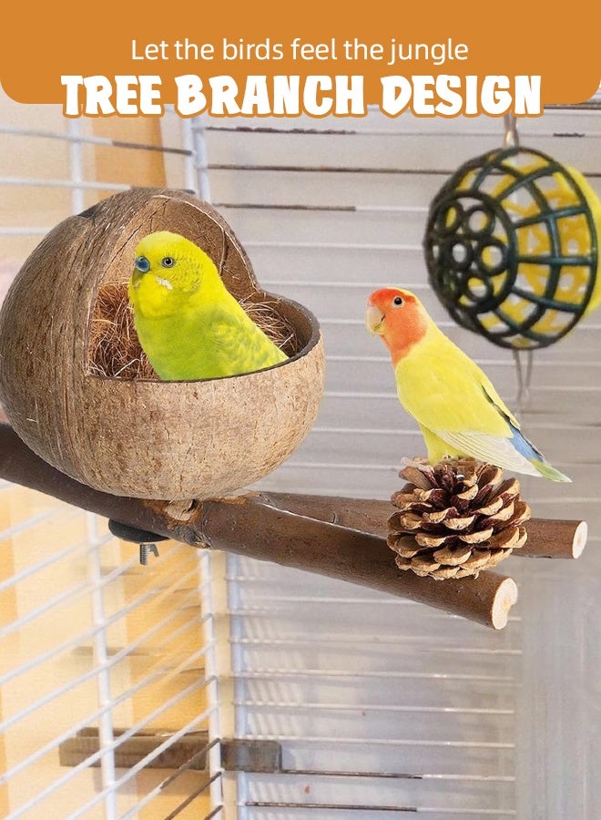 Soft Touch Natural Coconut Shell Bird Nest Bird Cage Bird House with Pine Cone Decoration Comfortable Parakeet Nesting Box for Small Bird Love Birds Parakeet - Image 5