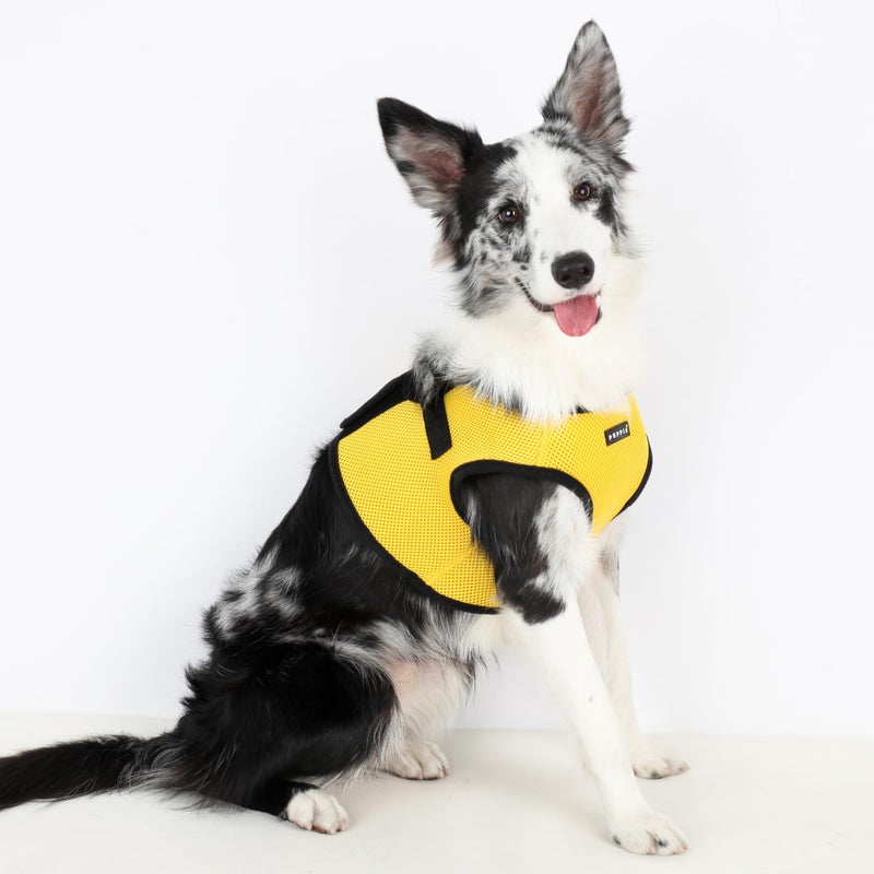PUPPIA International Harness Soft B Vest, Small, Yellow - Image 4