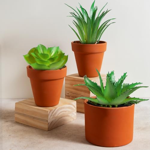 Xyembu 6Pcs Green Succulent Plants Mini Green Succulent Plants Faux Artificial Succulents Plant for DIY Crafting Home Floral Wall Office Decoration (excluding pots) - Image 4