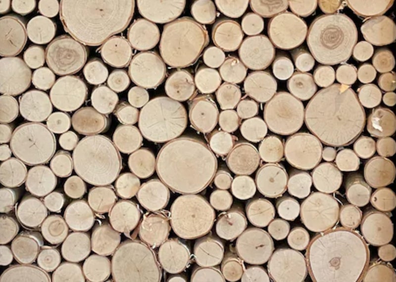 Wilson Wilson 79 Decorative White Birch FillASpace Logs Natural Home Dcor  154 Dia 1 Sq Ft 