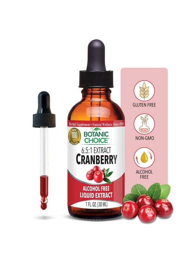 بوتانيك تشويس - مستخلص التوت البري السائل - مكمل غذائي عشبي - سريع المفعول، سهل البلع، خالٍ من الكحول والغلوتين - 1 أونصة - Image 1