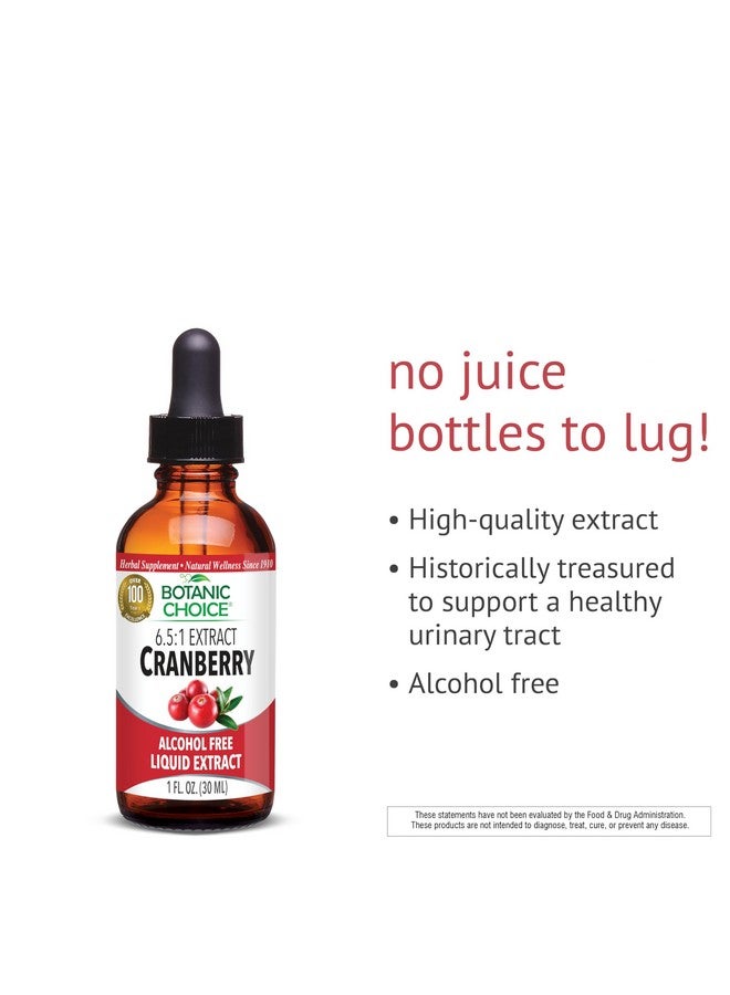 بوتانيك تشويس - مستخلص التوت البري السائل - مكمل غذائي عشبي - سريع المفعول، سهل البلع، خالٍ من الكحول والغلوتين - 1 أونصة - Image 3