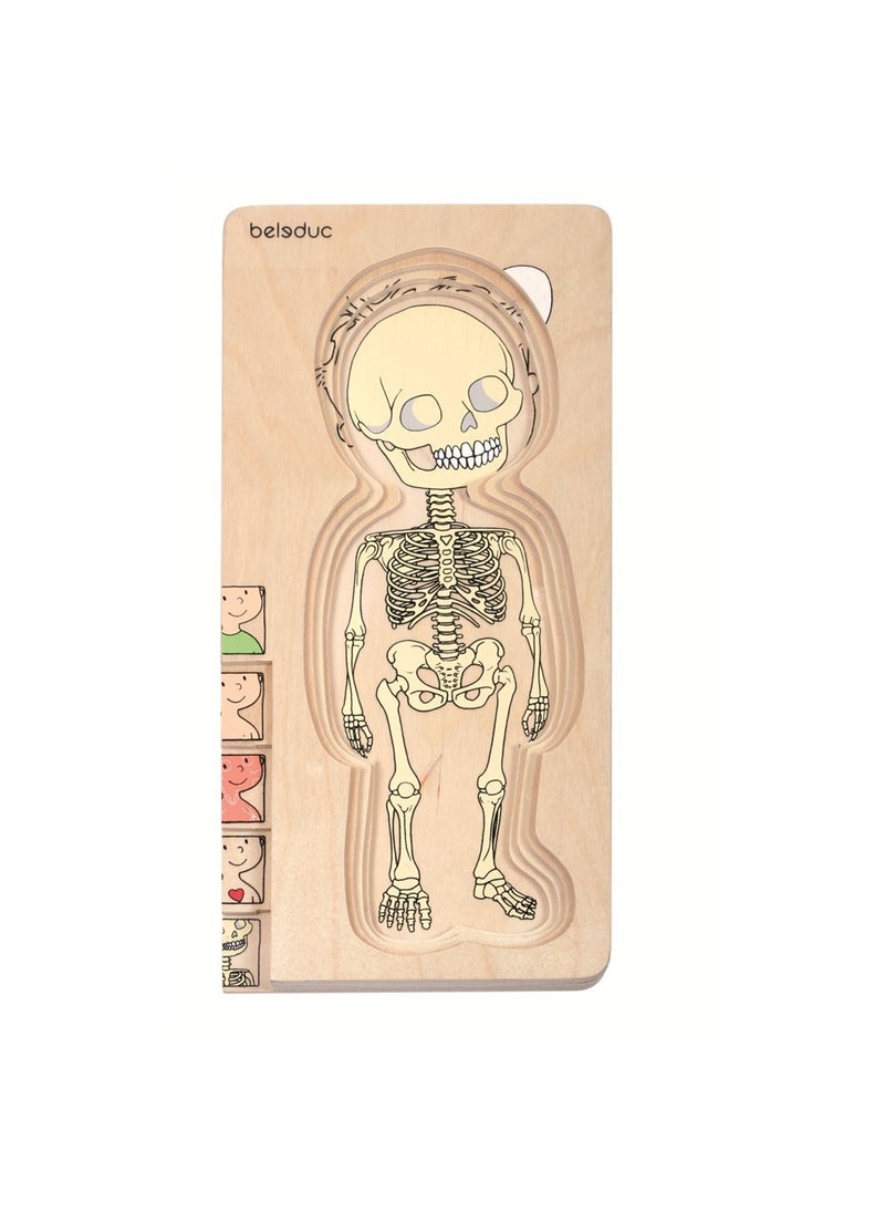 Multilayer Puzzle-Male 15X30 Cm