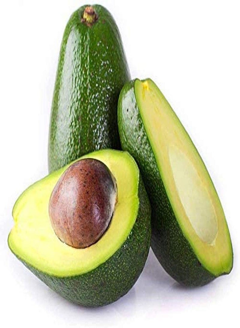 جي جوت 10 قطع من الأفوكادو سامين مهرجريج إينفاش في أومجيبونج أكثر دفئًا من بافلانزين جروسفلاشيجر بفلانزيفكت جوت إينفاش كولتيفييرونج ناتورليشيس واكستوم - Image 1