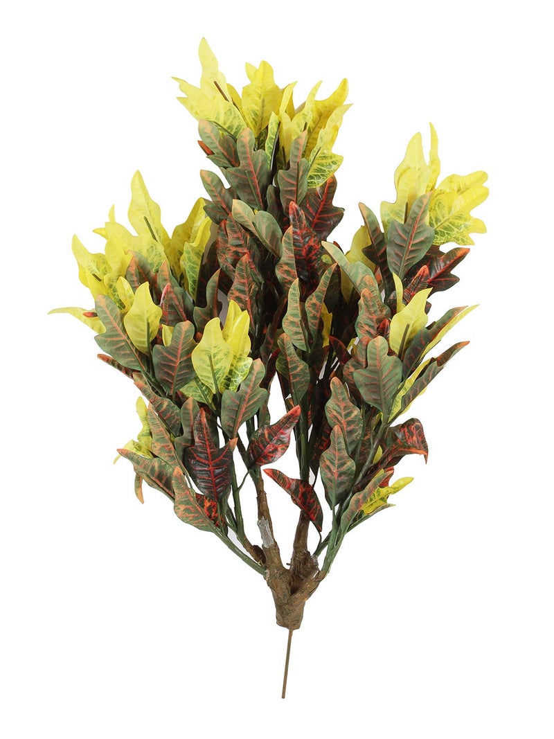 Fourwalls 60cm Tall Mini Croton Plant Without Pot - Image 4