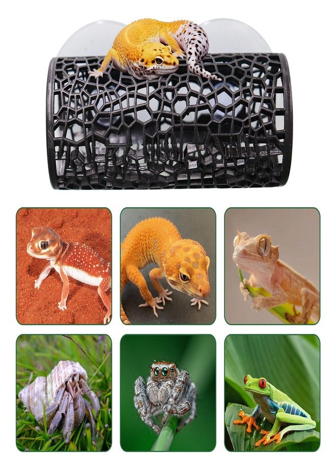 MHLLGN 2 Pack Reptile Hide with Suction Cups, Hollowed-Out Hideout and Caves, Hermit Crabs Climbing Toys, Terrarium Decor for Geckos, Snakes, Hermit Crabs, Spiders - Image 3