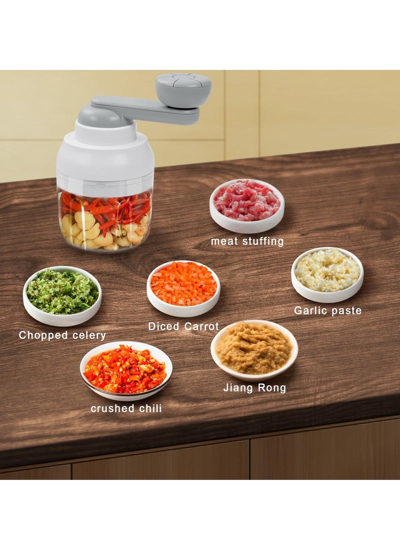 SYOSI - SYOSI Manual Garlic Chopper, Food Chopper for Kitchen, 250ml Vegetable Chopper, Portable Mini Food Cutter for Vegetables, Fruits, Chili Peppers, Ginger, Onion, Garlic, Herbs and Meat - Image 1