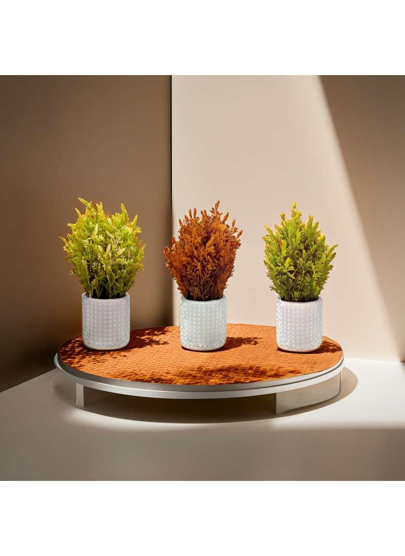 BOUNTI CRAFTTS BOUNTI CRAFTTS Artificial Plants with Pot Showcase Decoration Plants Flowers Fake Plant Artificial Plants for Home Decor Office Gifting Plants Decorative Potted Plants Pack of 3 RVAP18  - Image 2