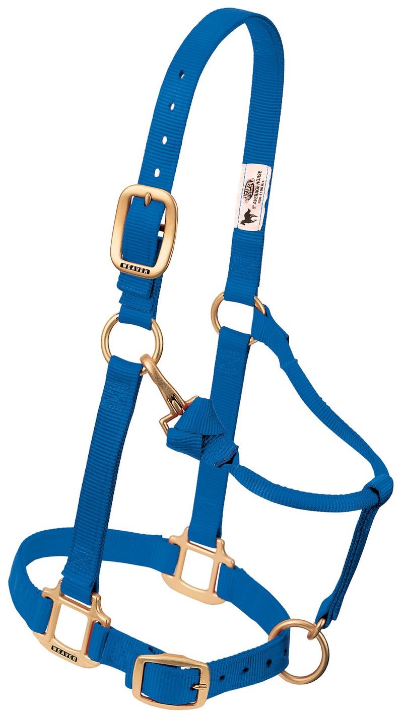 Weaver Leather هالتر خيل نايلون قابل للتعديل من ويفر ليذر، صغير، أزرق - Image 5