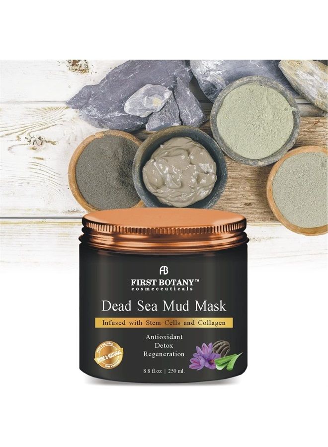 First Botany 100% Natural Mineral-Infused Dead Sea Mud Mask 8.8 oz w/ Stem Cells for Facial Treatment, Skin Cleanser, Pore Reducer, Anti Aging, Acne Treatment, Blackhead Remover, Cellulite & Natural Moisturizer - Image 2