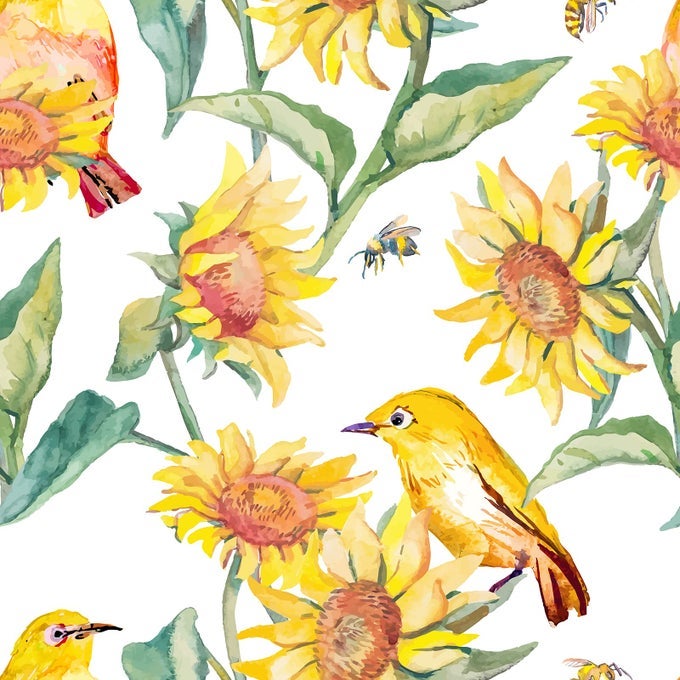 177X118 VINTAGE SUNFLOWER WALLPAPER WATERCOLOR BRIGHT YELLOWGREEN BIRDS FLORAL PEEL AND STICK WALLPAPER REMOVABLE SELF ADHESIVE FLORAL CONTACT PAPER FOR BEDROOM KITCHEN WALLS SHELVES