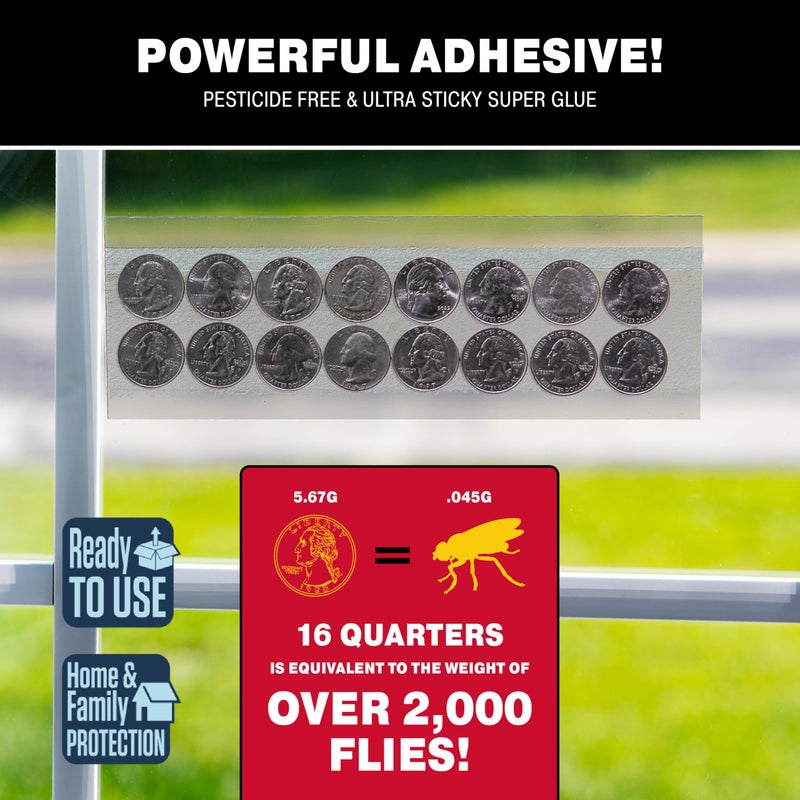 Catchmaster Window Fly Traps 12-Pack, Fruit Fly Traps for Indoors, Disposable Bulk Bug Catcher, Waterproof Insect Glue Trap, Adhesive Strips, Pest Control for Home, Kitchen, & Garage - Image 2