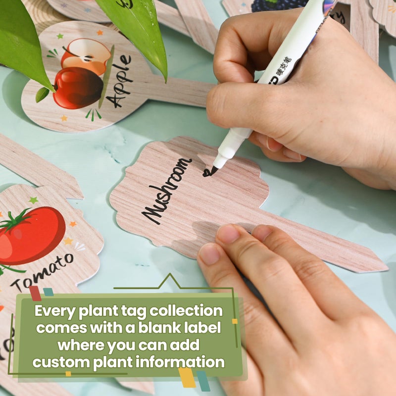 JUYRLE Vegetable Plant Label - 15PACK Garden Markers, Fruit Plant Labels for Outdoor Garden Waterproof, Plant Tags with Names, Indoor Patio Tags for Succulent Flowers Greenery Seedling - Image 4