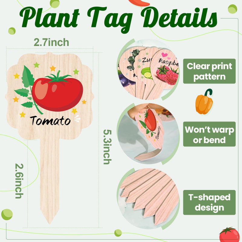 JUYRLE Vegetable Plant Label - 15PACK Garden Markers, Fruit Plant Labels for Outdoor Garden Waterproof, Plant Tags with Names, Indoor Patio Tags for Succulent Flowers Greenery Seedling - Image 2