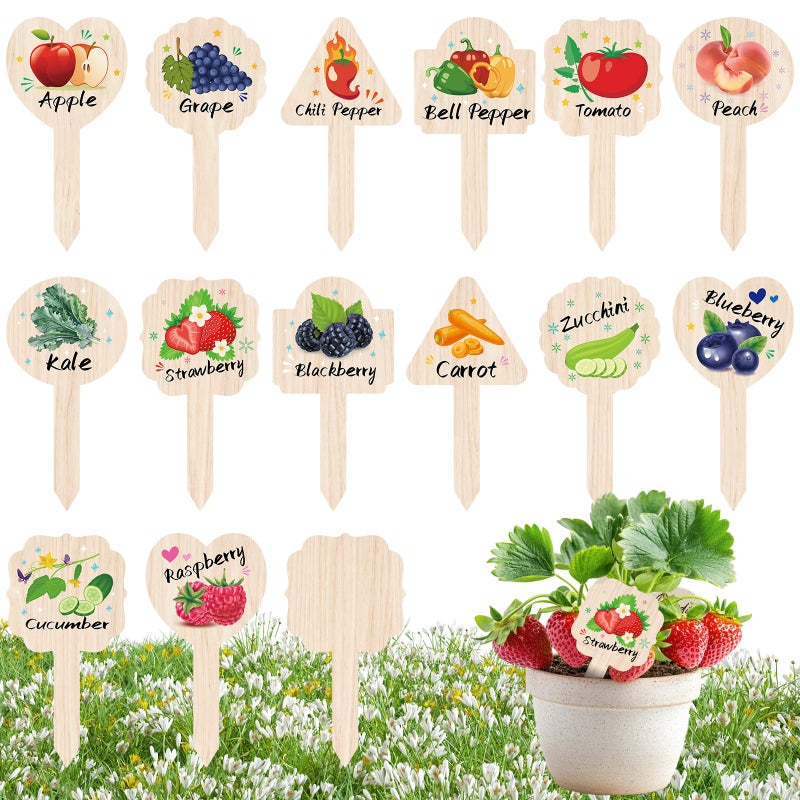JUYRLE Vegetable Plant Label - 15PACK Garden Markers, Fruit Plant Labels for Outdoor Garden Waterproof, Plant Tags with Names, Indoor Patio Tags for Succulent Flowers Greenery Seedling - Image 1