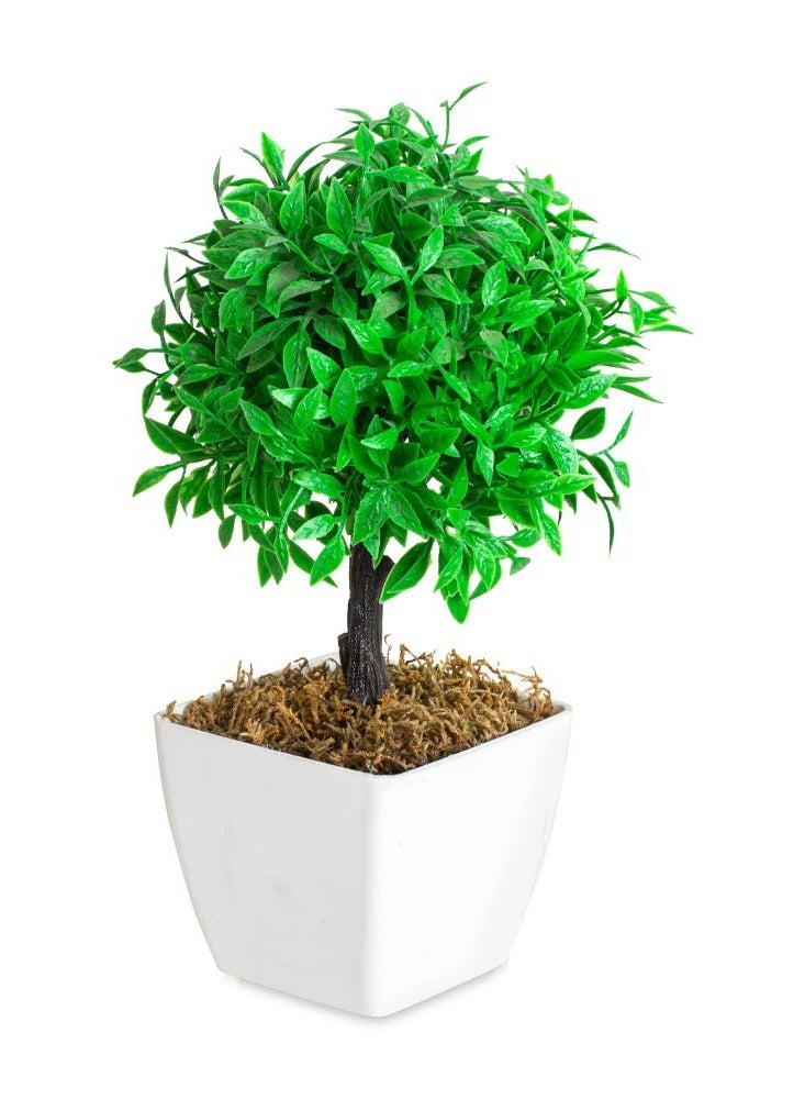 شجرة كوكبية صناعية صغيرة في وعاء أبيض لتزيين المنزل والمكتب وديكور الرف 30 * 10 سم. - Image 1