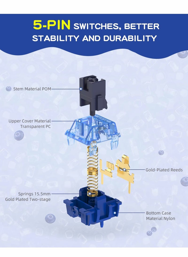 SOLARAE Diced Fruit Blueberry Switch, 36PCS 5 Pin 35gf Linear Switch Set, Transparent Cover, 15.5mm Gold Plated Two-Stage Springs, 80M MX Switch for Hotswap Mechanical Keyboard Replacement - Image 3