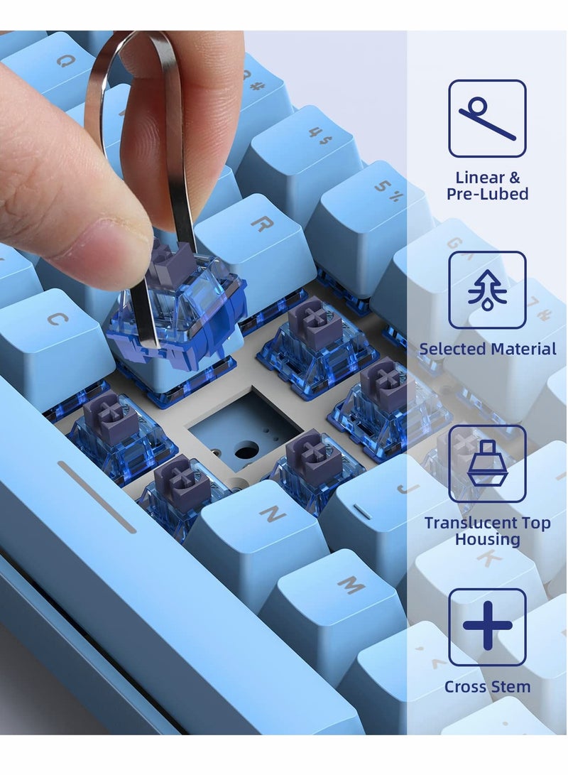 SOLARAE Diced Fruit Blueberry Switch, 36PCS 5 Pin 35gf Linear Switch Set, Transparent Cover, 15.5mm Gold Plated Two-Stage Springs, 80M MX Switch for Hotswap Mechanical Keyboard Replacement - Image 2