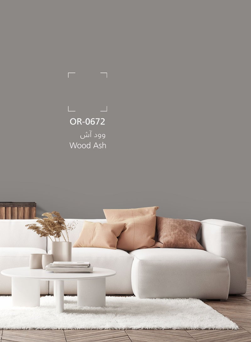 Jazeera Paints Green Interior Walls Paints Matt (color :Wood Ash) 3L - Image 3