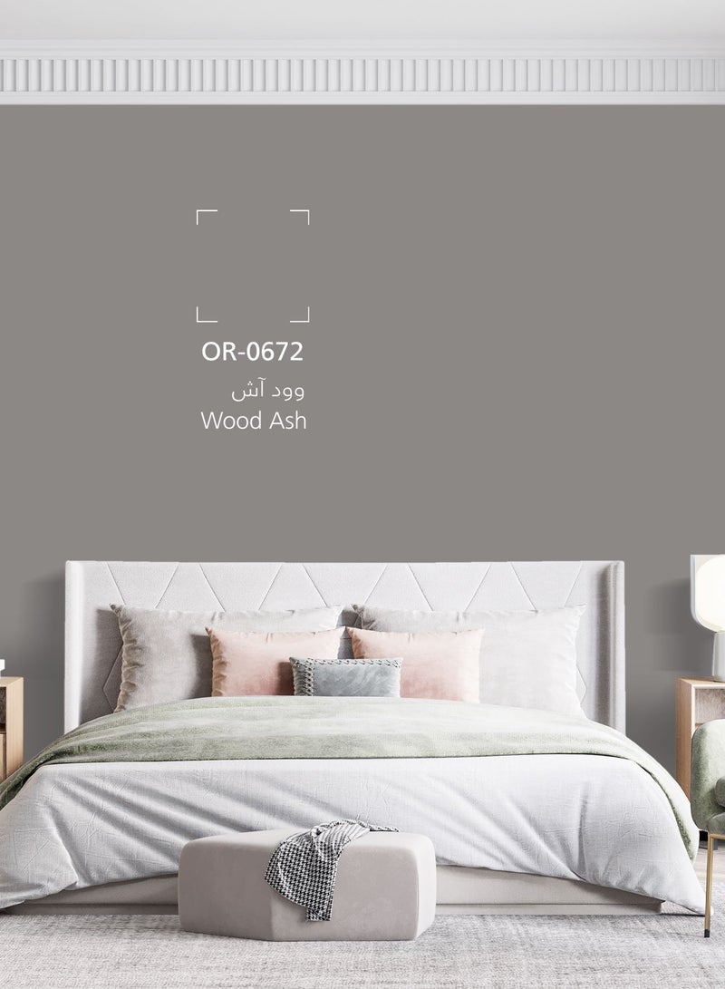 Jazeera Paints Green Interior Walls Paints Matt (color :Wood Ash) 3L - Image 2