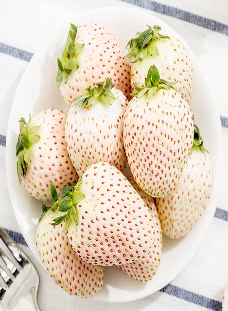 GGOOT 100Pcs Strawberry Seeds Sweet, White Strawberry Fragaria Seeds for Household Seed - Image 3