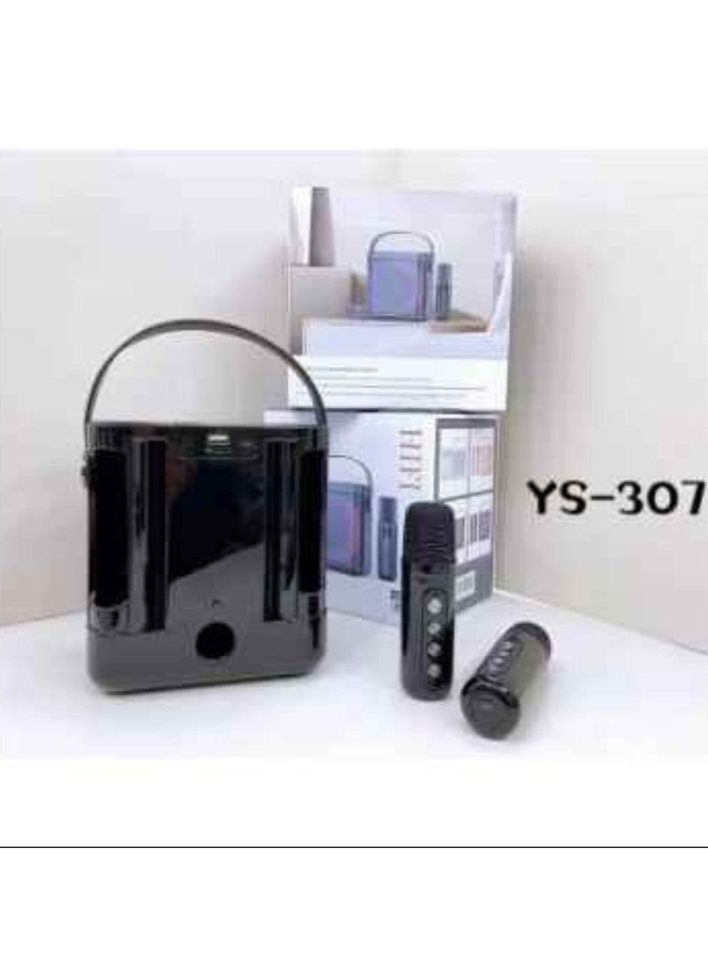 YS - YS-307 Karaoke Bluetooth Speaker Dual Microphone Card Microphone Integrated K Song Bluetooth Subwoofer - Image 1