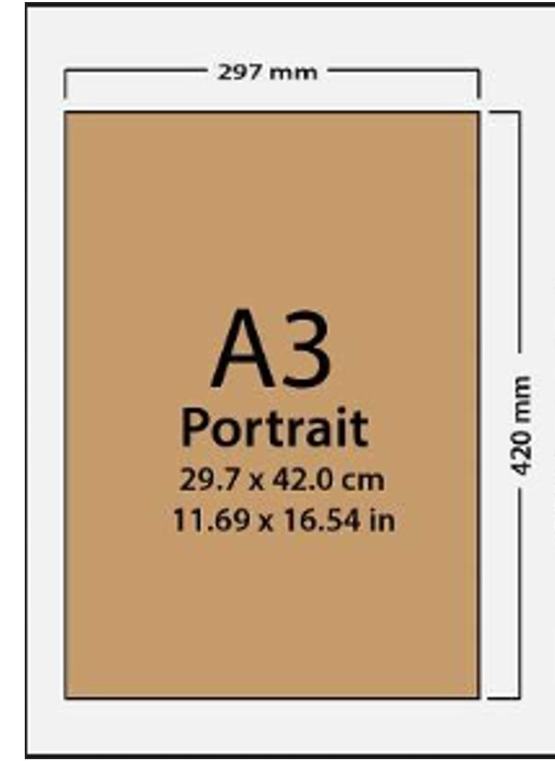 Generic - A3 CERTIFICATE OR PHOTO FRAME WITH CLEAR GLASS AND 2 WAY HANGING SYSTEM - Image 1