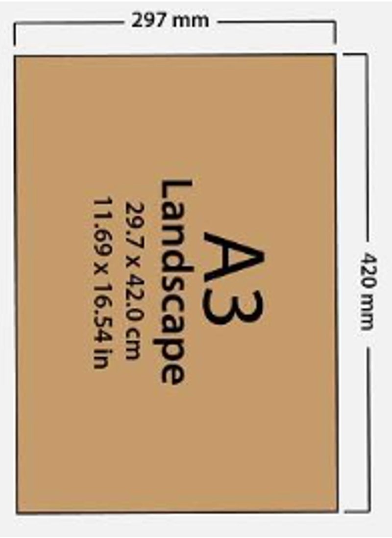 Generic - A3 CERTIFICATE OR PHOTO FRAME WITH CLEAR GLASS AND 2 WAY HANGING SYSTEM - Image 1