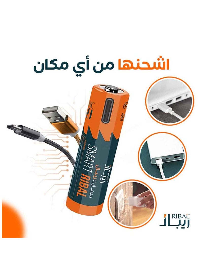RIBAL 8 rechargeable batteries | (Remote size) Smart Repal  - Image 2