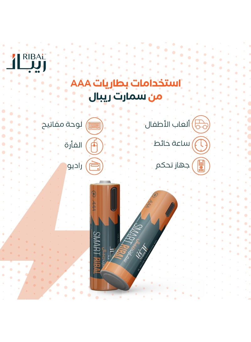 RIBAL 8 rechargeable batteries | (Remote size) Smart Repal  - Image 4