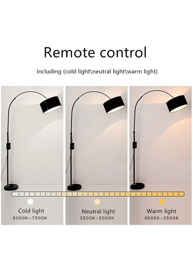 Nordic minimalist three-color eye-protecting floor lamp with remote control
