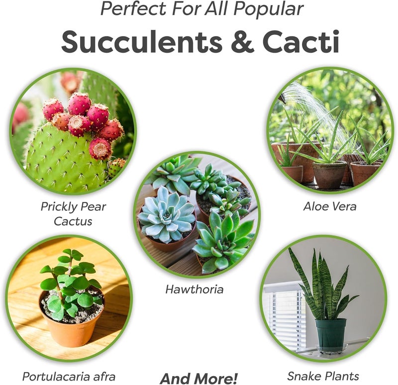 PERFECT PLANTS خليط تربة العصاريات والصبار (1QT) - Image 3