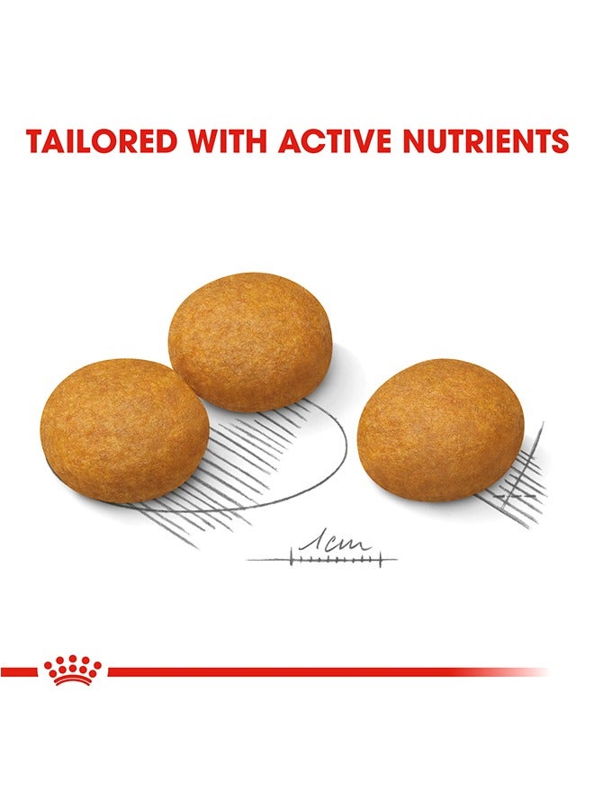 ROYAL CANIN Canine Care Maxi Dermacomfort - 12 KG - Image 3