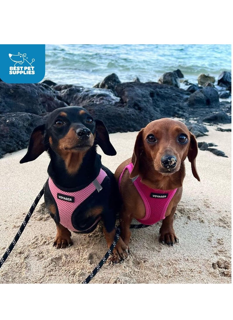 VOYAGER Voyager Step-in Air Dog Harness - All Weather Mesh Step in Vest Harness for Small and Medium Dogs by Best Pet Supplies - Harness (Fuchsia), Small  - Image 5