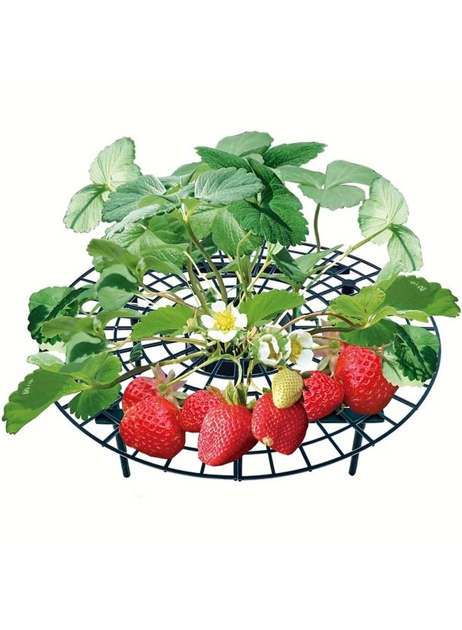 1pc Strawberry Supports Protector Balcony Vegetable Rack Keep Fruit Elevated Prevent Rot - Image 3
