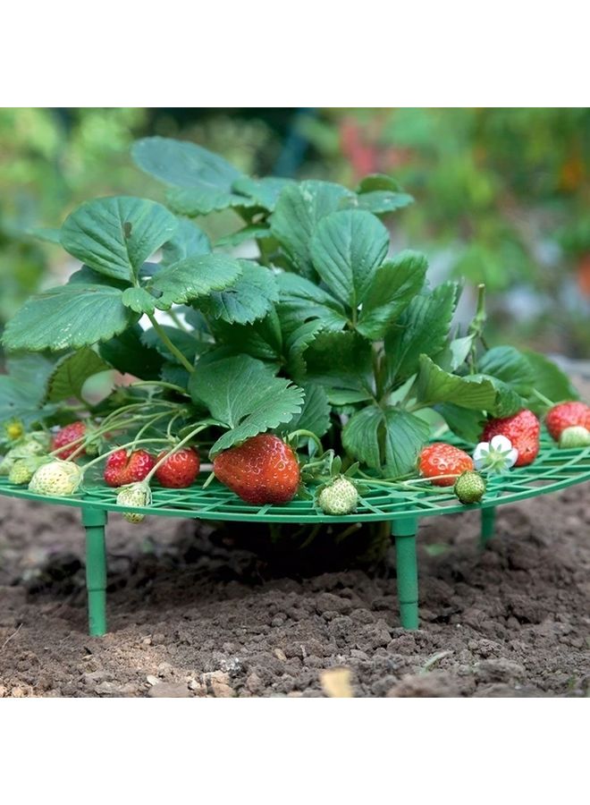 1pc Strawberry Supports Protector Balcony Vegetable Rack Keep Fruit Elevated Prevent Rot - Image 1