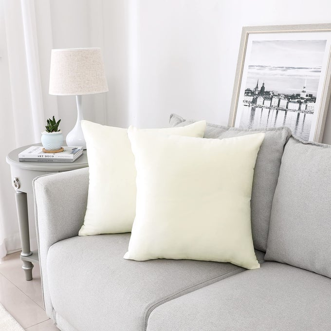 Decorative Throw Pillow Covers Velvet Soft for Couch Sofa Bedroom Living Room Outdoor Pack of 2 18x18 Inch Cream White