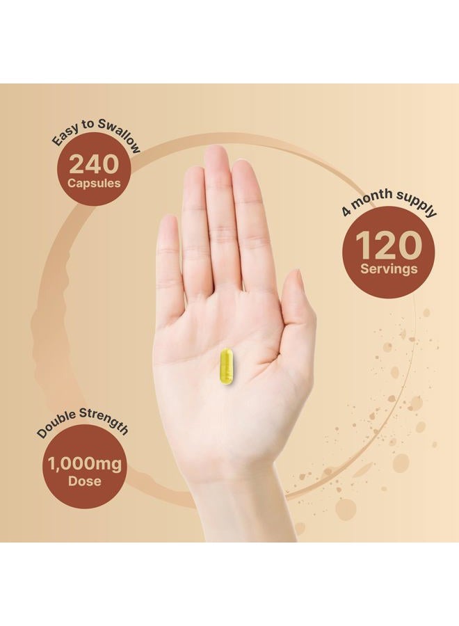 NatureBell Quercetin 1000mg Per Serving, 240 Capsules, Super Immune Vitamins and Quercetin Vitamins, Powerfully Supports Cardiovascular Health, Immune System and Bioflavonoids for Cellular Function - Image 4