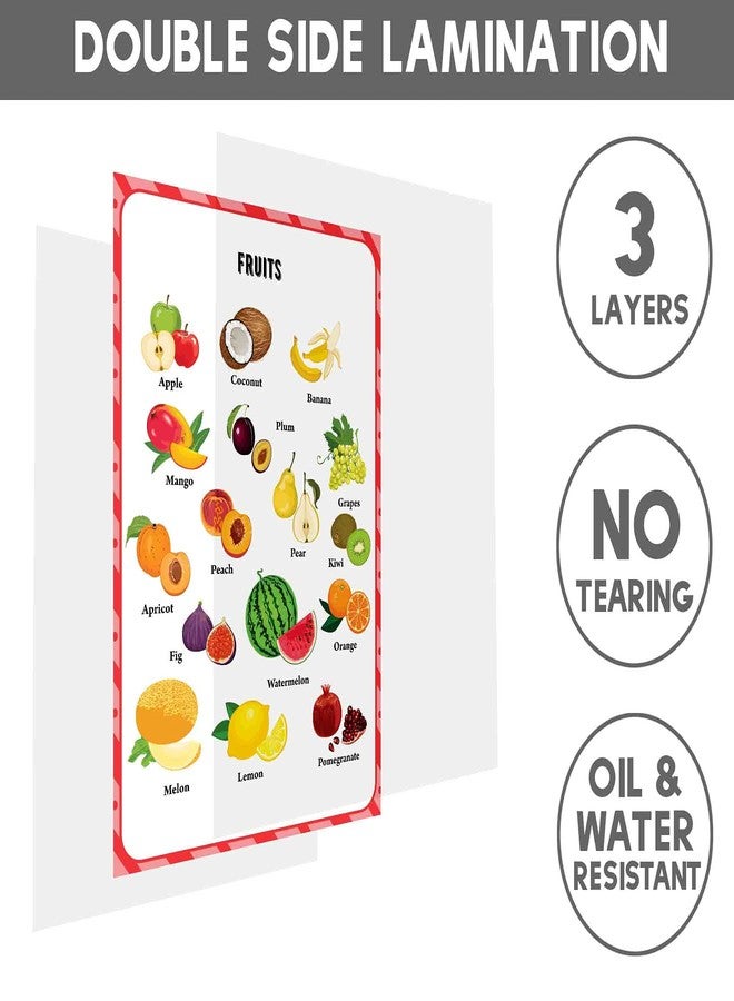 Traceease Educational Poster For Elementary School, Pack Of 25 Laminated Kids Learning Posters USA & World Maps- Solar System- Math & more - Great for Classroom/HomeSchool- Room decor-JQ - Image 5